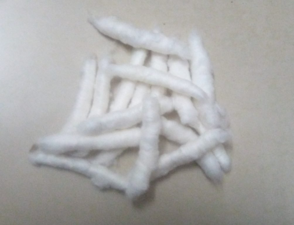 Cotton Fiber Rolags