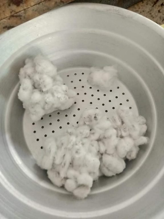 Cotton Fiber With Seeds